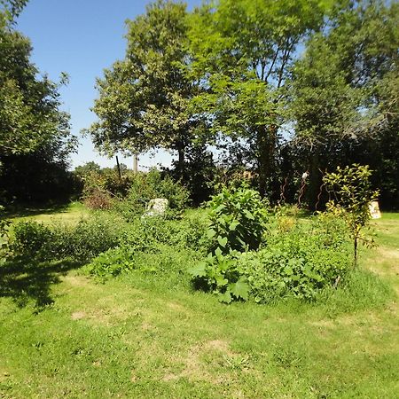 Tranquille Vienne Gites A Chirac Dept Charente Exterior foto