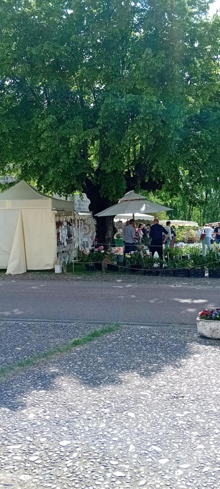 Tranquille Vienne Gites A Chirac Dept Charente Exterior foto